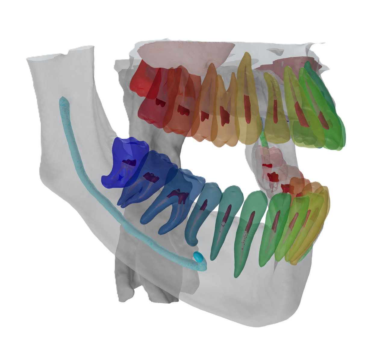 CT/CBCT Segmentation